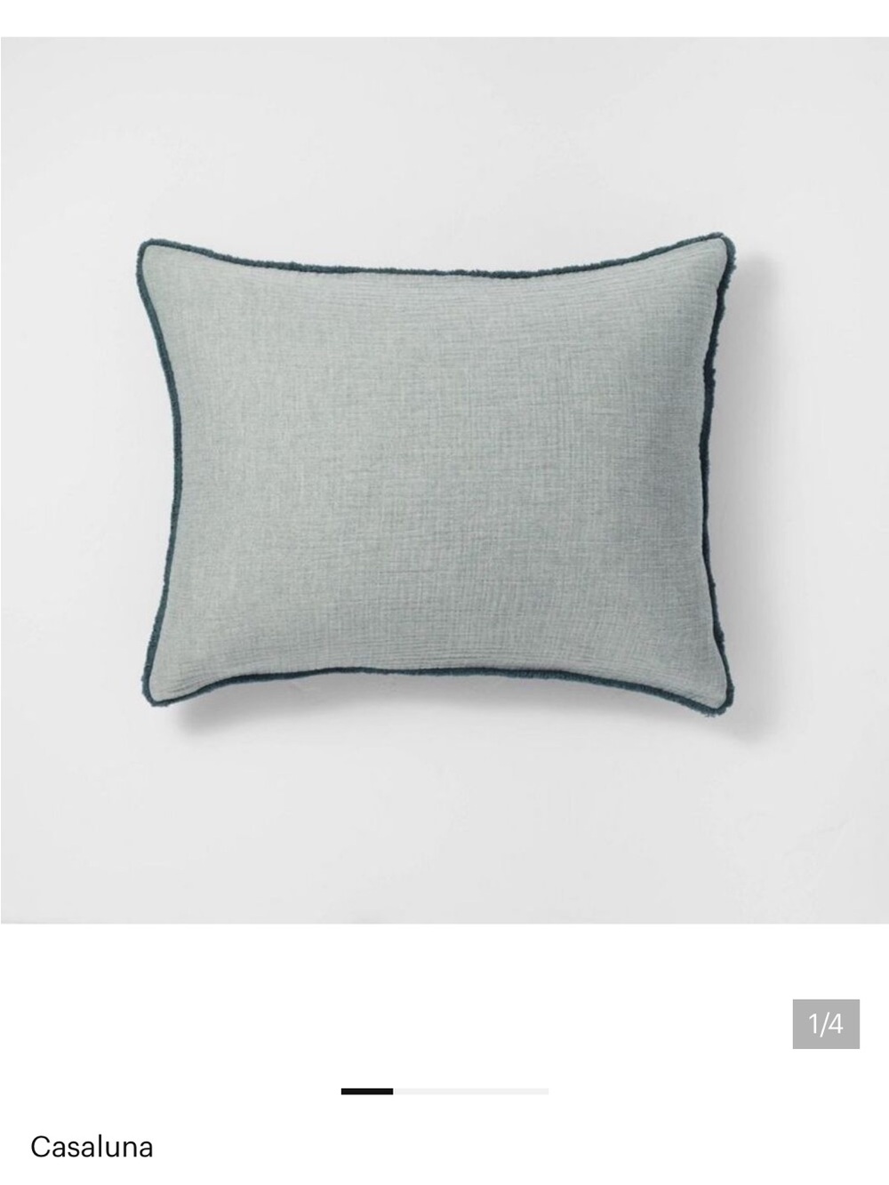 Euro Casaluna Light teal Pillow with Dark Teal Piping set of 3 covers